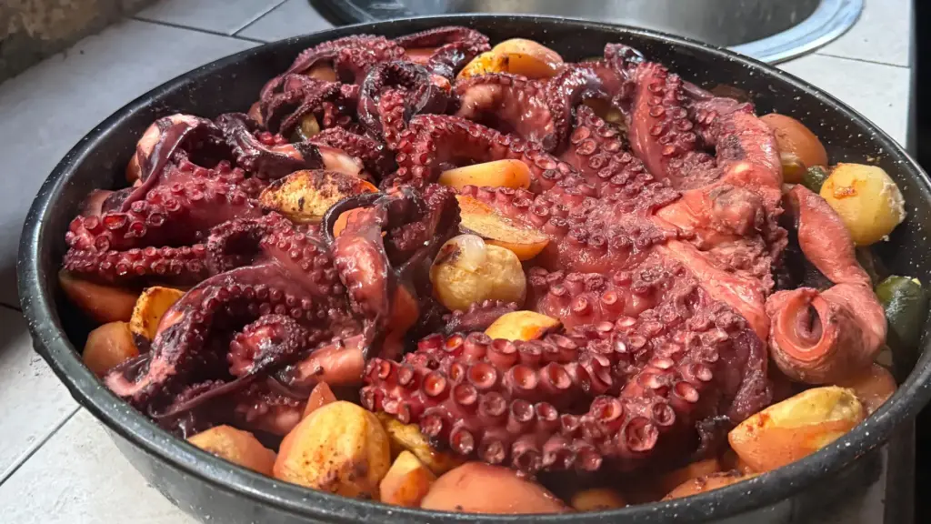 Octopus Peka in Dalmatia