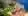 town_day.jpg.webp