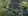 from_above.jpeg.webp
