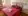 room17.jpeg.webp