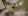 room9.jpg.webp