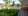 outside2.jpg.webp