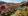 pool1.jpeg.webp