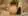 cat.jpeg.webp