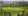 gazebo.jpg.webp