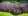 shrubs.jpg.webp