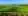 vineyards2.jpg.webp