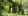 outside.jpg.webp