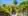 steps.jpg.webp