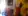 flowers.jpg.webp